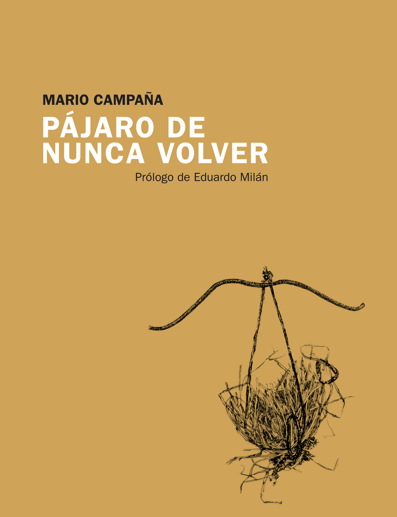 Pájaro de nunca volver: portada