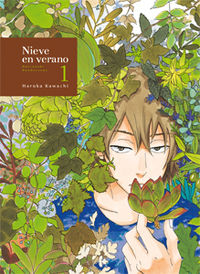 Nieve en verano, vol. 1 (3ED): portada