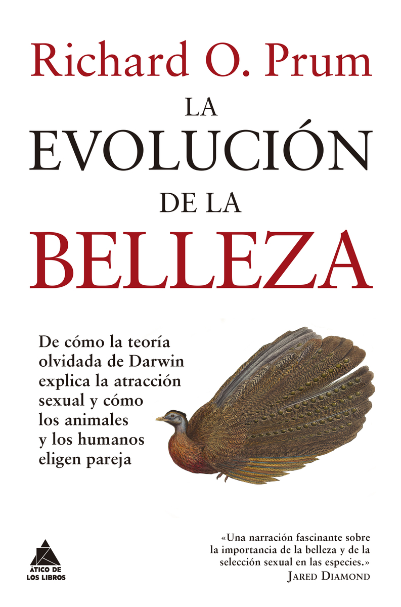La evolución de la belleza: portada