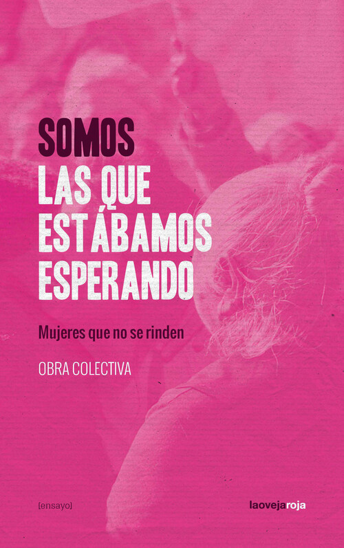 Somos las que estábamos esperando: portada