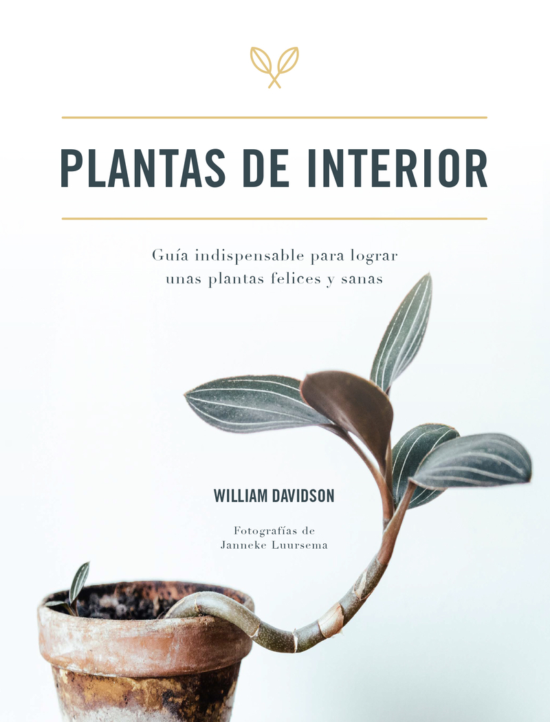 Plantas de interior: portada