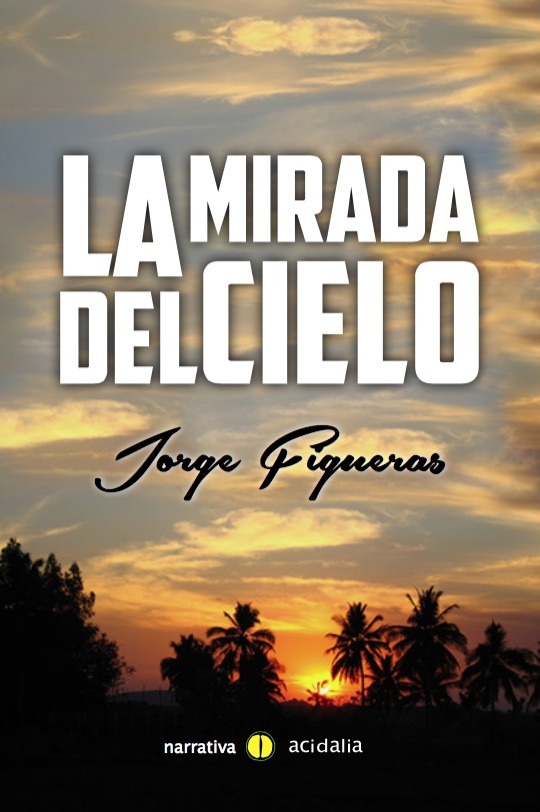 La mirada del cielo: portada