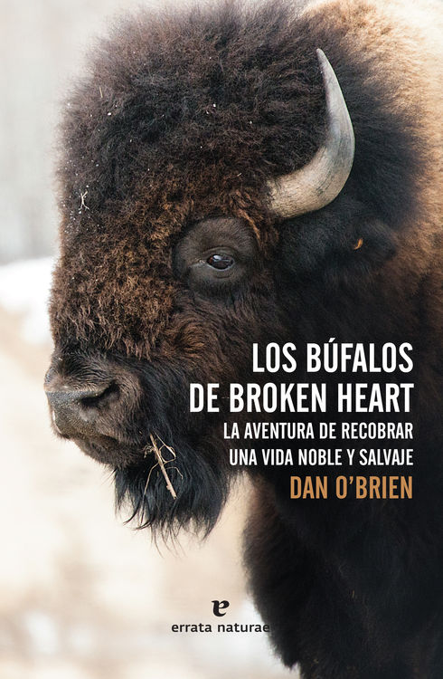 Los Bfalos de Broken Heart: portada