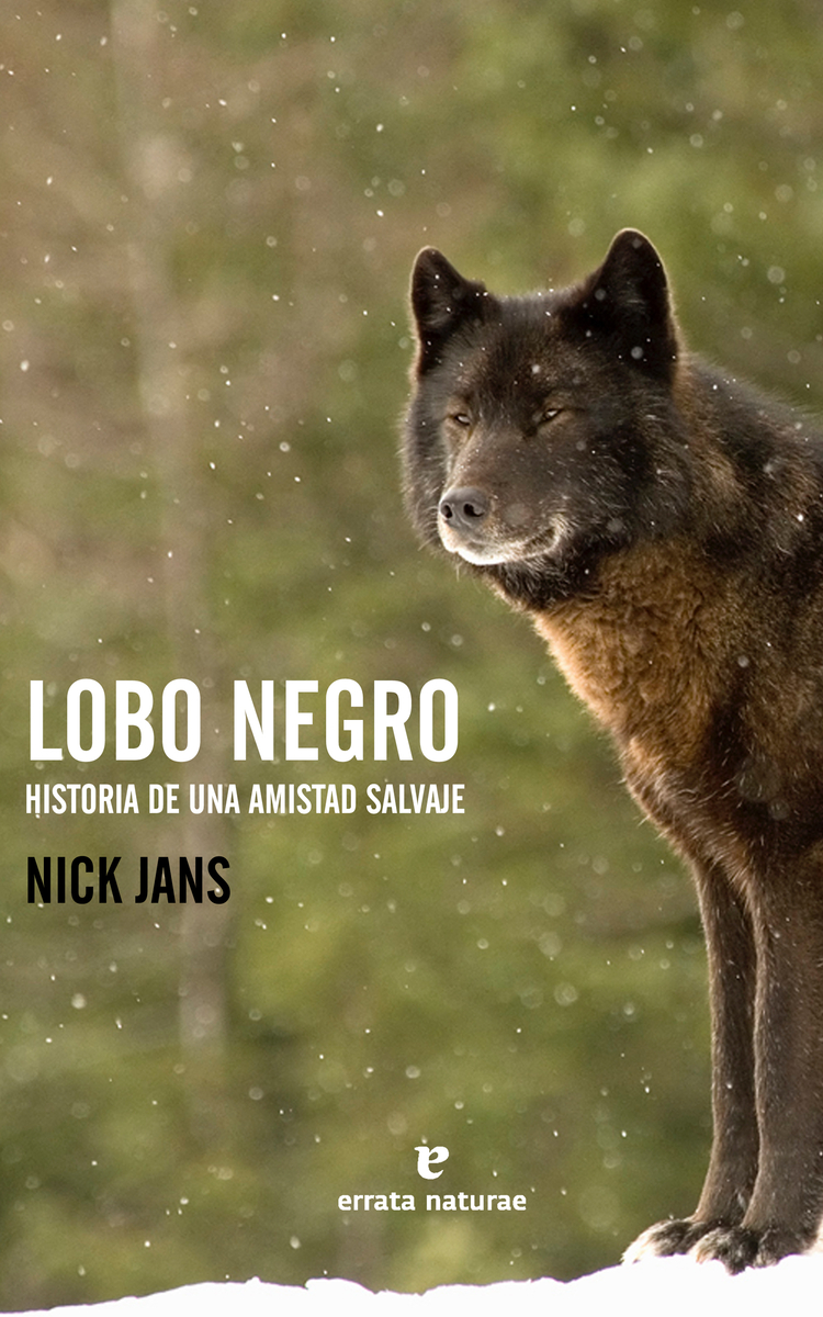 Lobo negro: portada