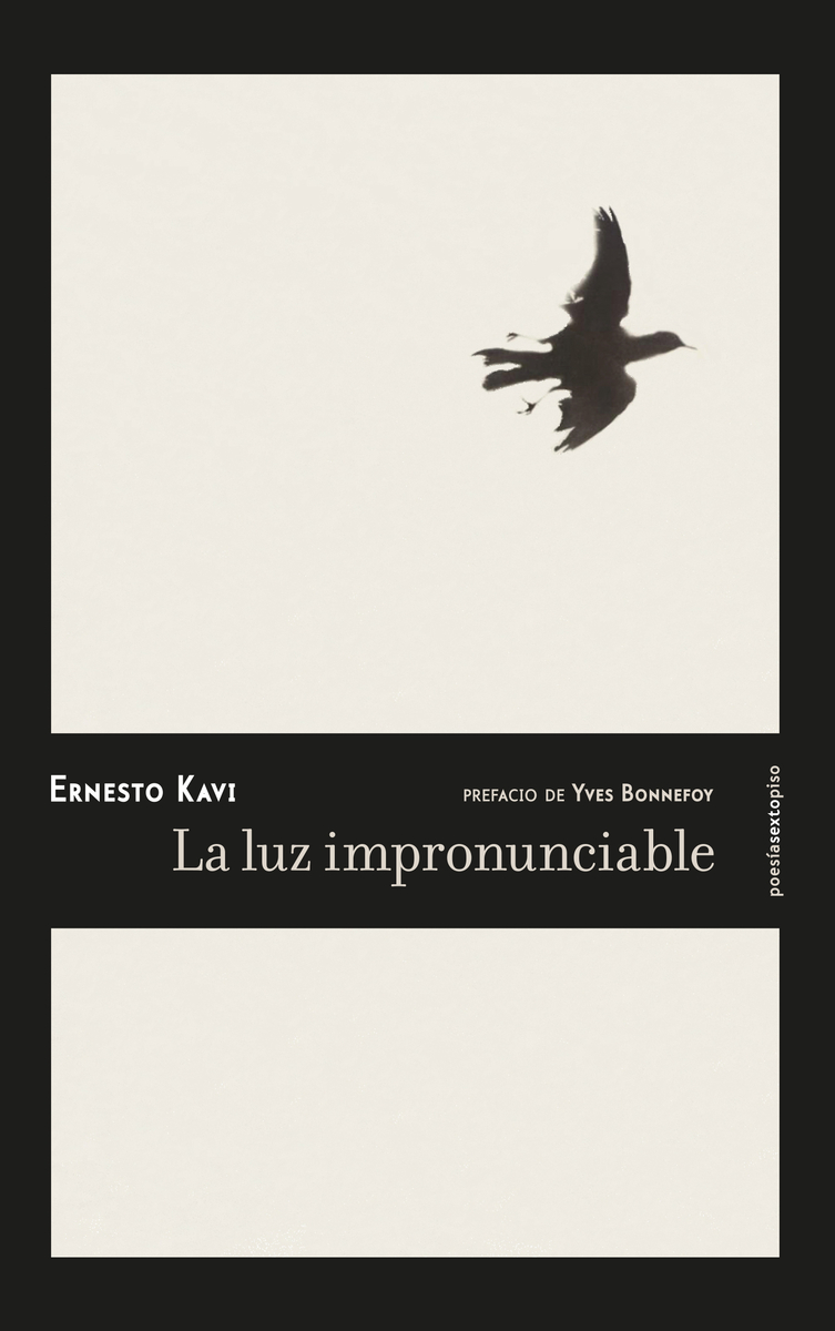 La luz impronunciable: portada