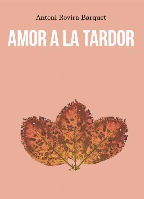 Amor a la tardor: portada