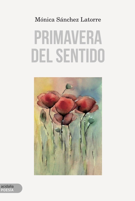 Primavera del sentido: portada