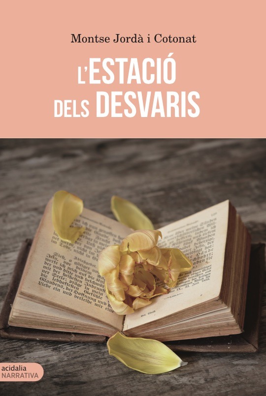 L'estaci dels desvaris: portada