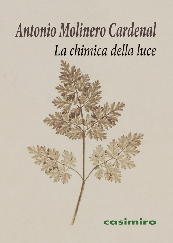 La chimica della luce: portada