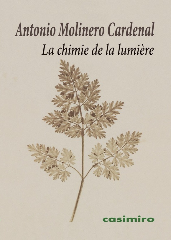 La chimie de la lumire: portada