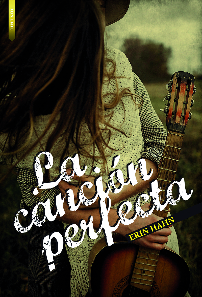 La canción perfecta: portada