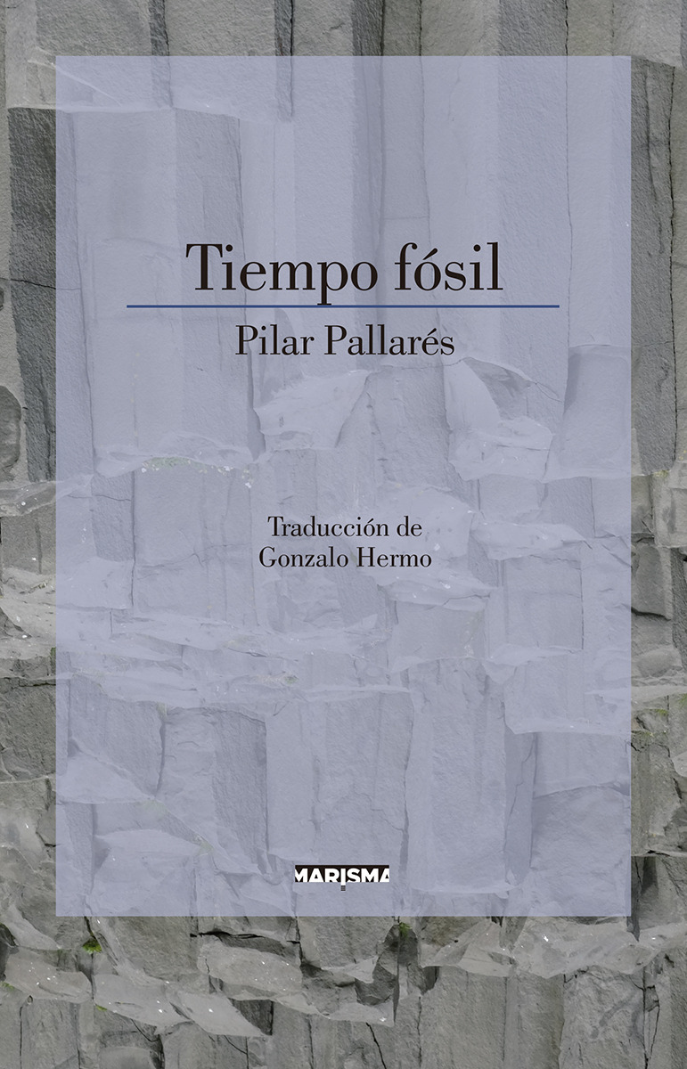Tiempo fósil: portada
