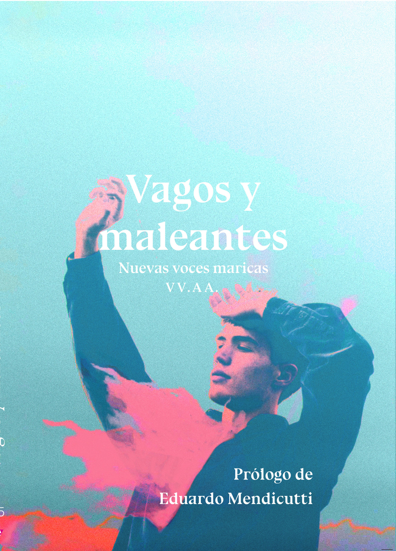 Vagos y maleantes (2ED): portada