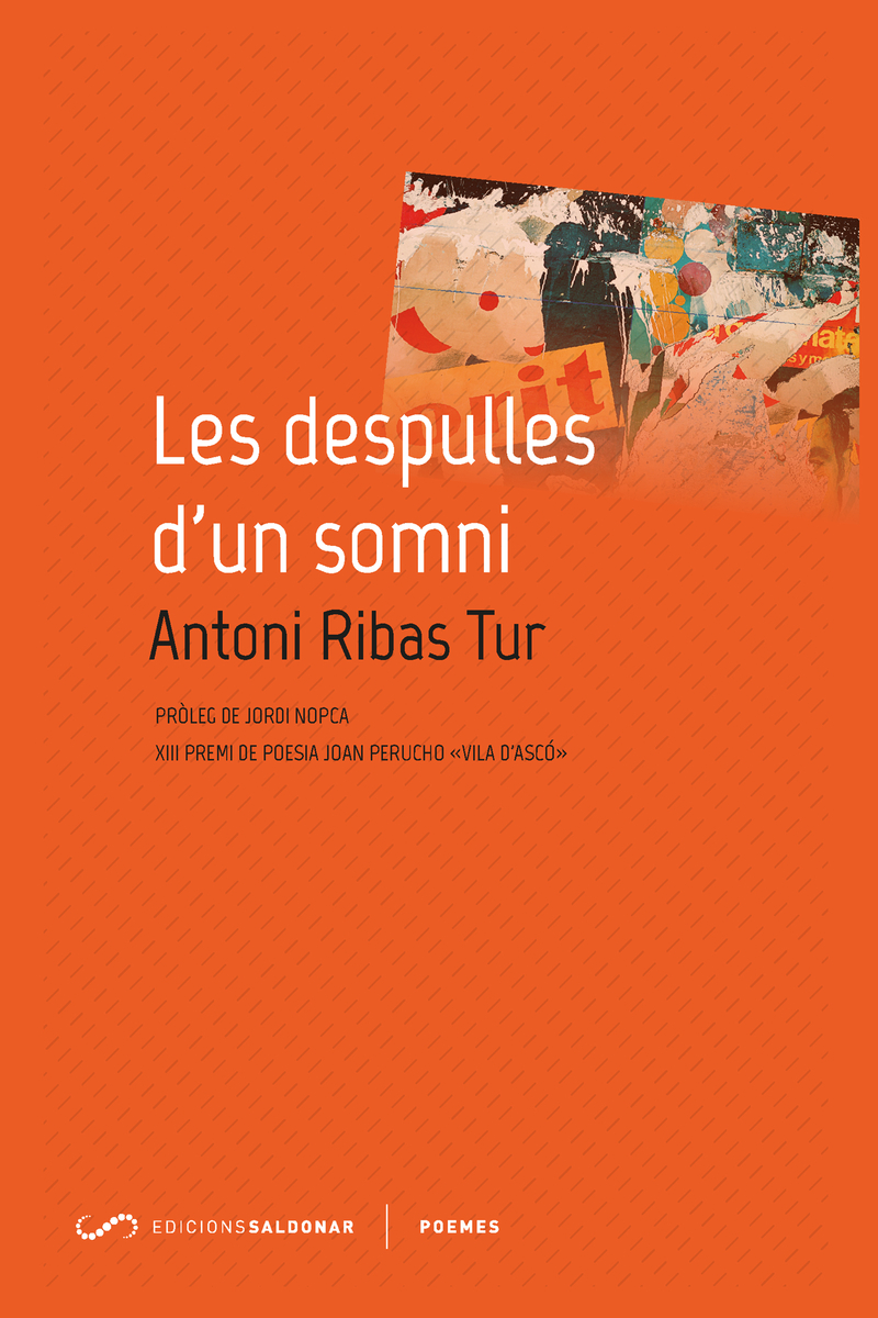 Les despulles d'un somni: portada