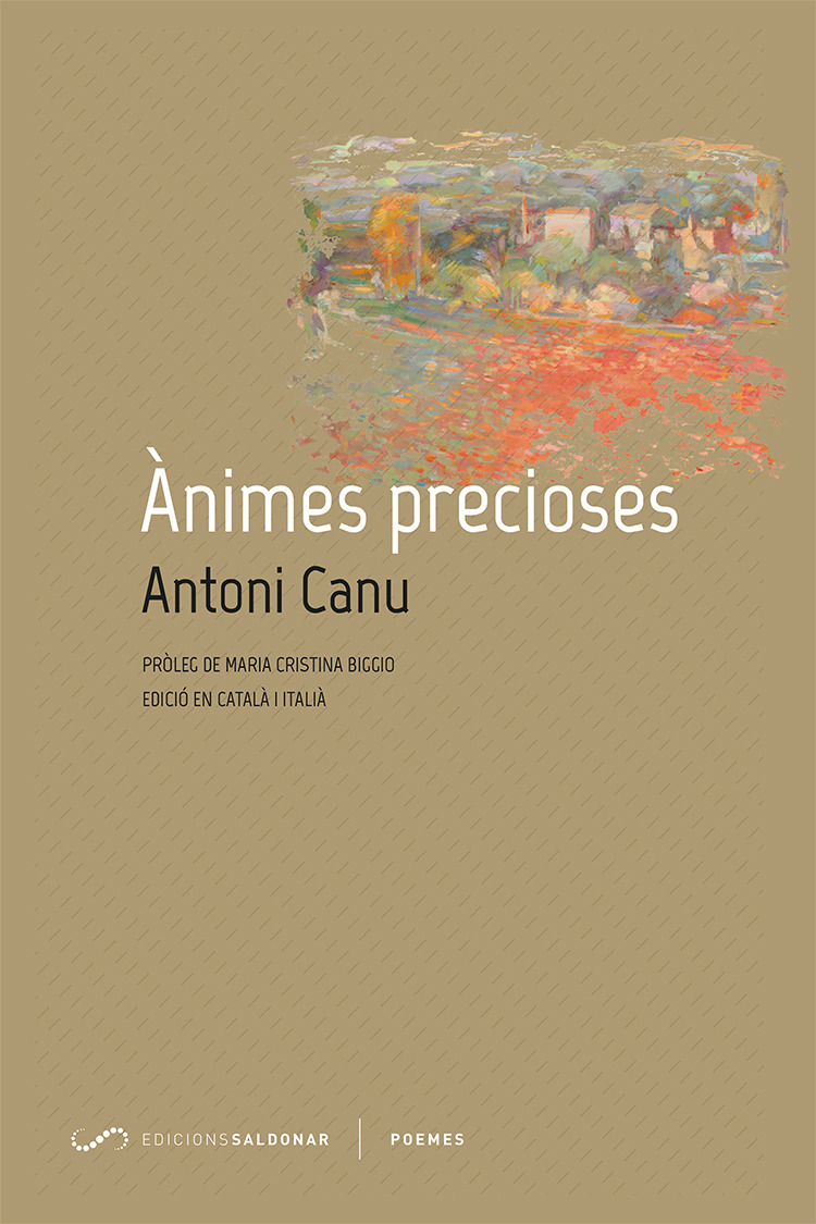 Ànimes precioses: portada