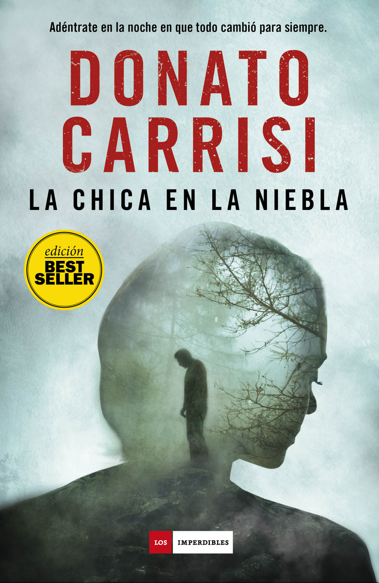 La chica en la niebla: portada