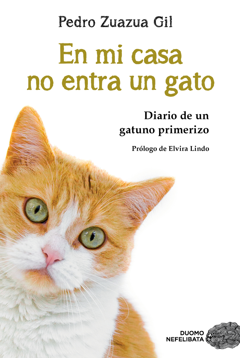 En mi casa no entra un gato (NE): portada