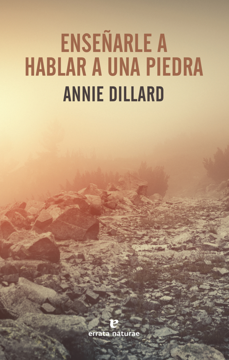 Ensearle a hablar a una piedra: portada