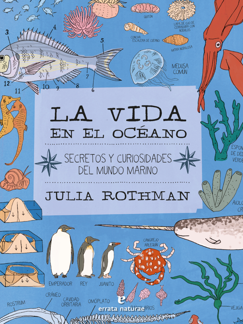 La vida en el ocano (2ED): portada