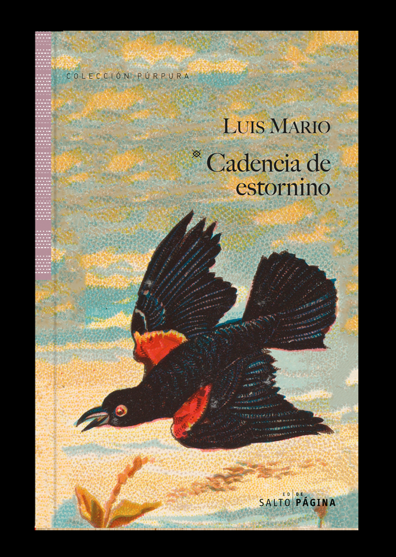 Cadencia de estornino (2ed): portada