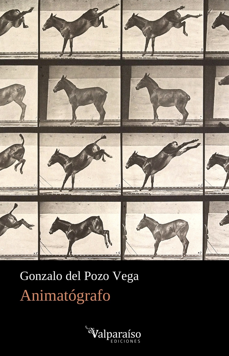 ANIMATÓGRAFO: portada