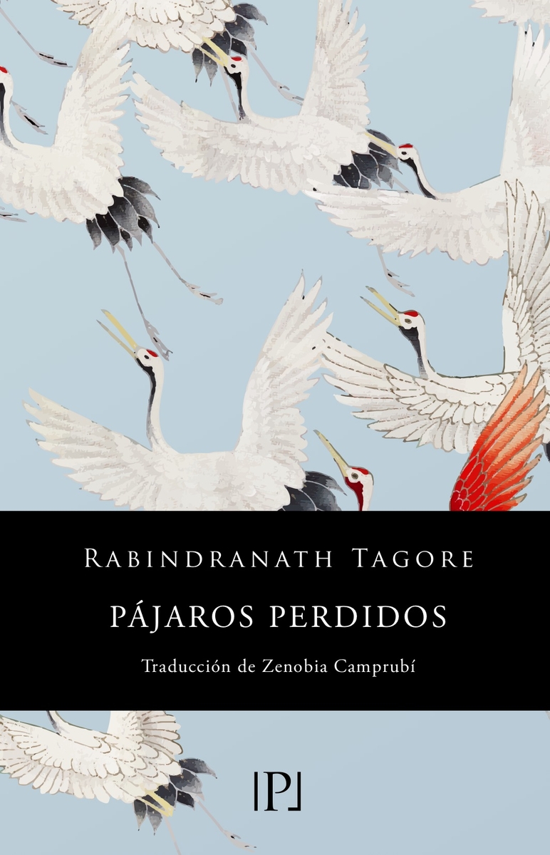 PJAROS PERDIDOS: portada