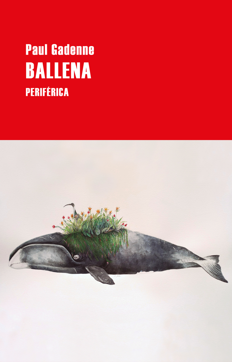 Ballena: portada