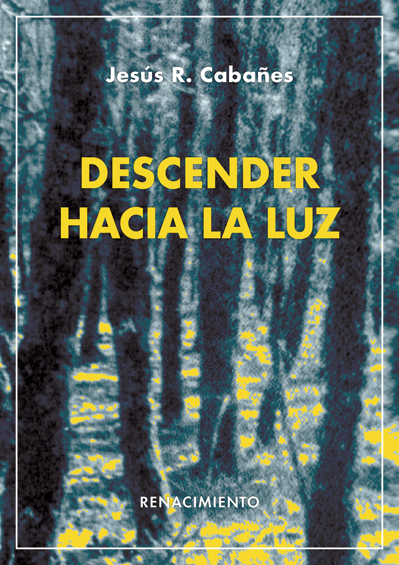 Descender hacia la luz: portada