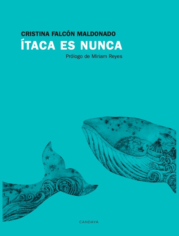 taca es nunca: portada