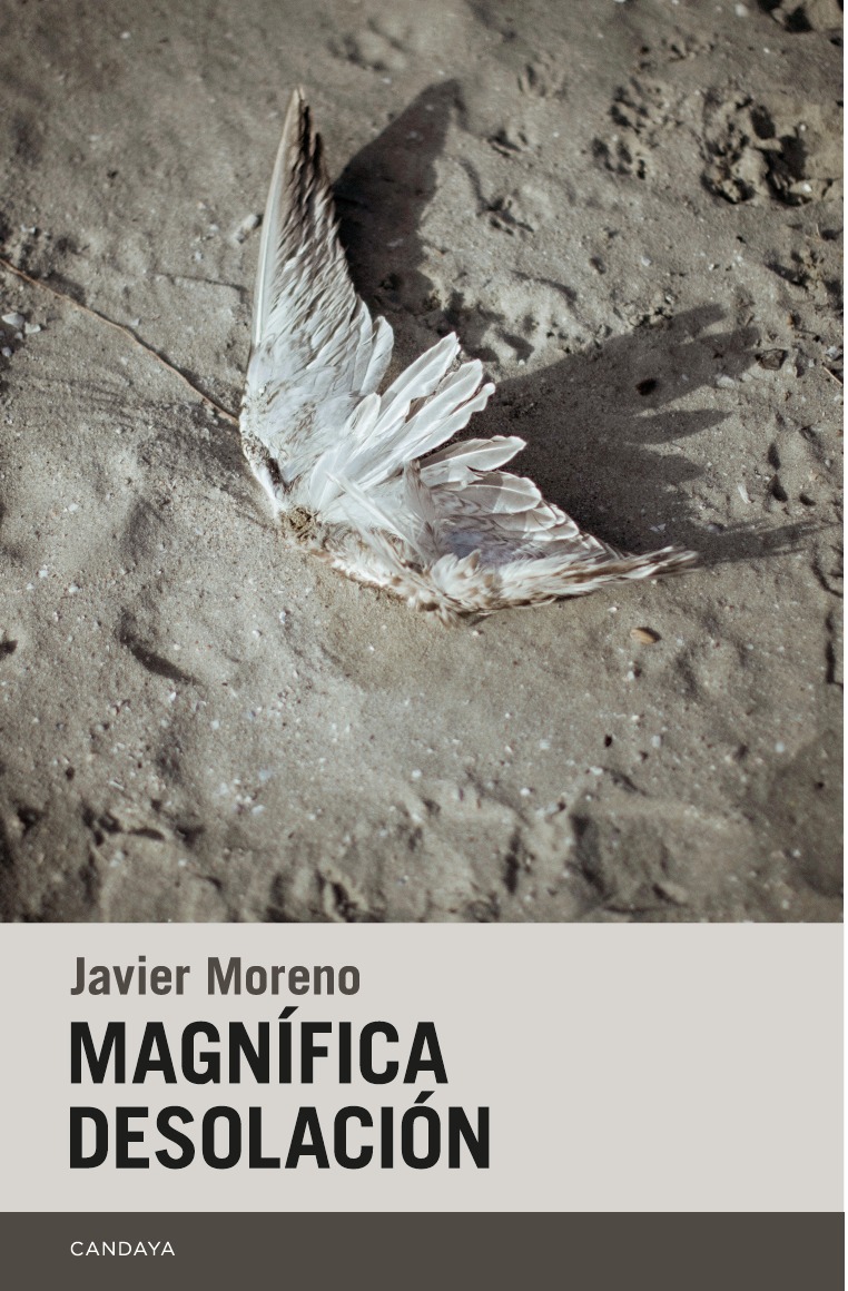 Magnífica desolación: portada