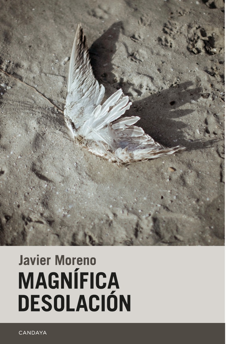 Magnfica desolacin: portada