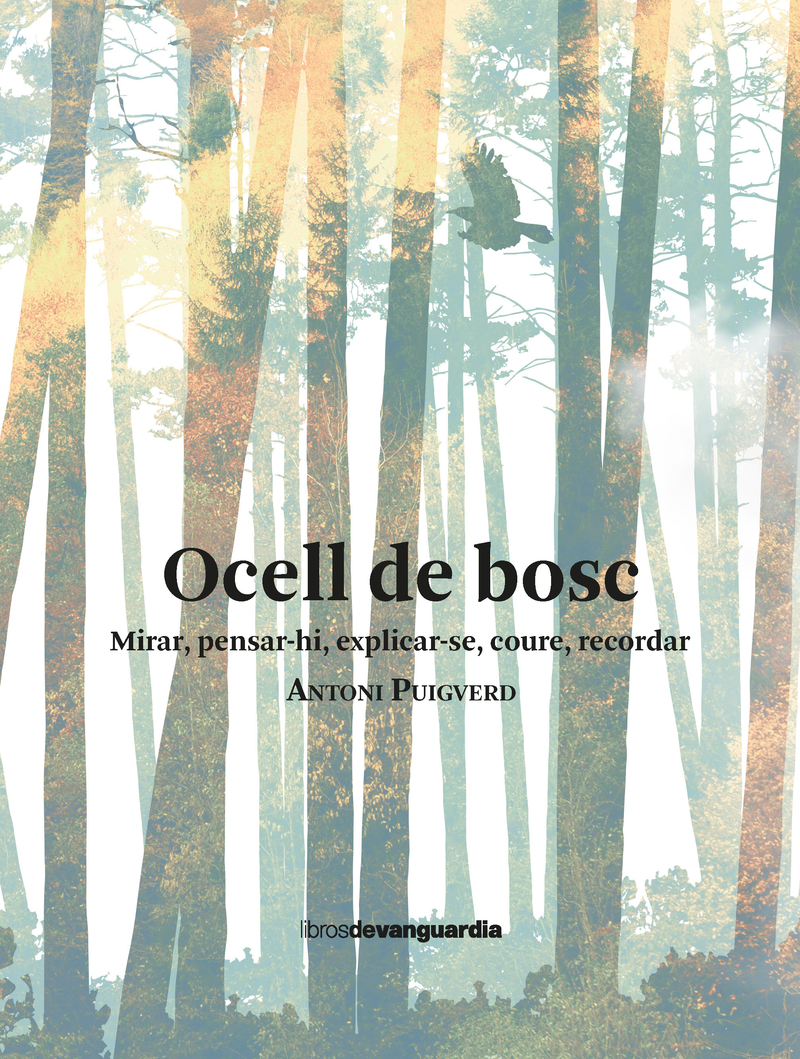 OCELL DE BOSC: portada