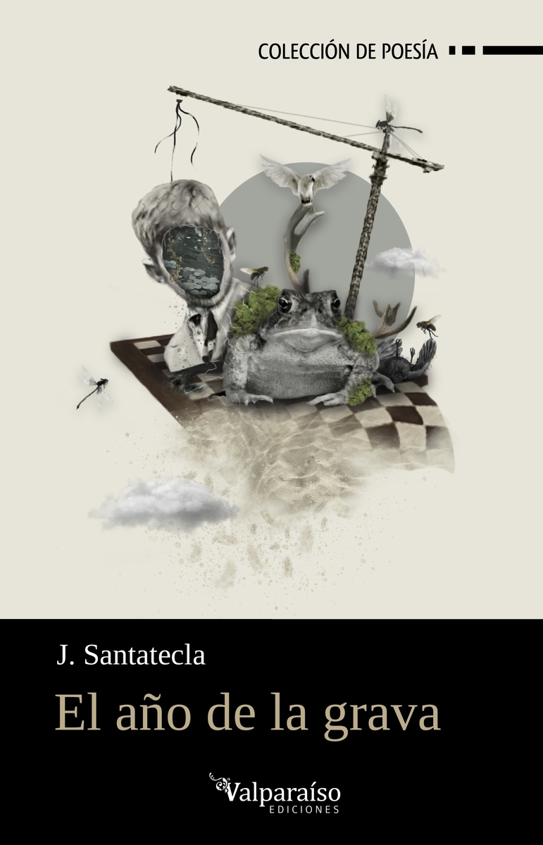 EL AÑO DE LA GRAVA: portada