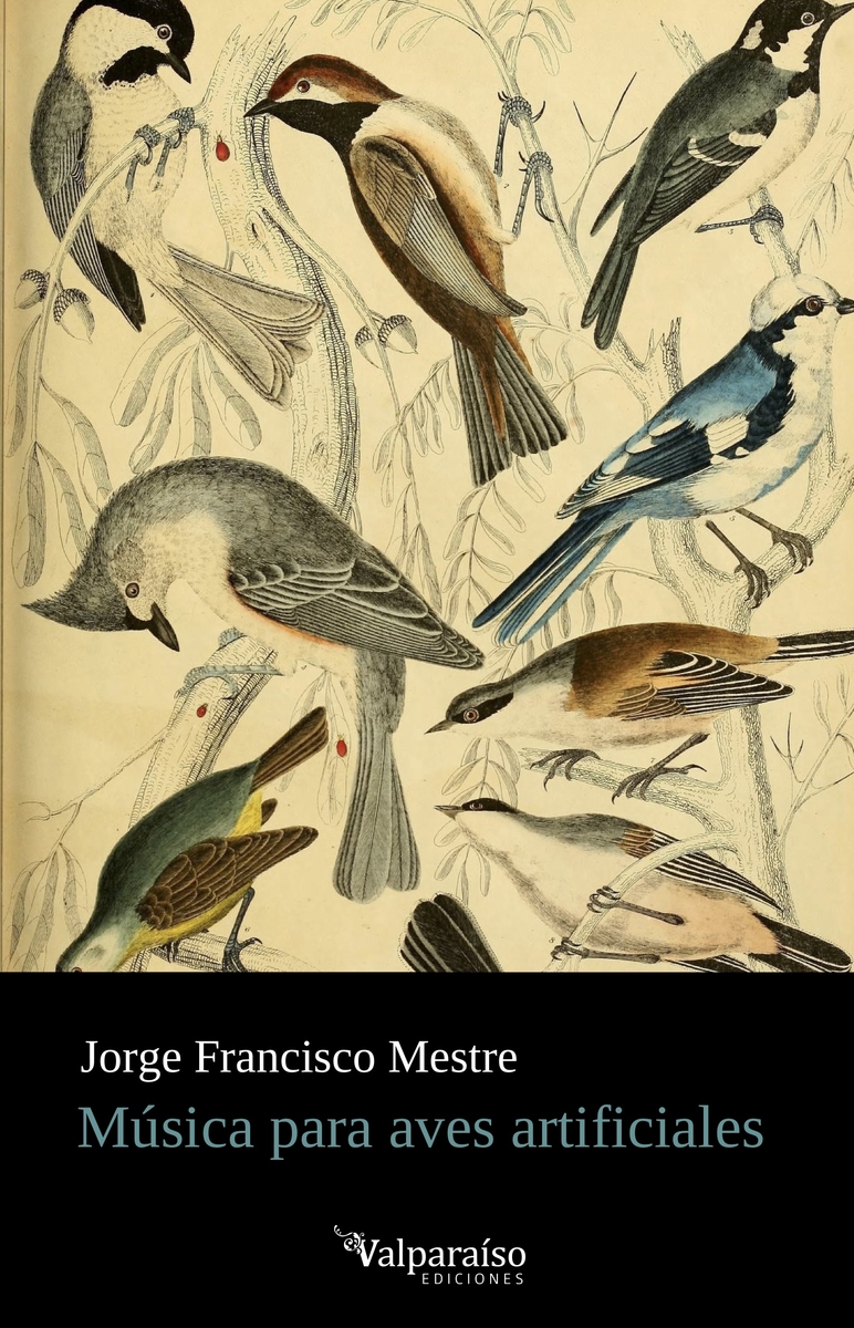 MÚSICA PARA AVES ARTIFICIALES: portada