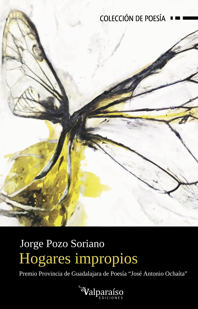 HOGARES IMPROPIOS: portada
