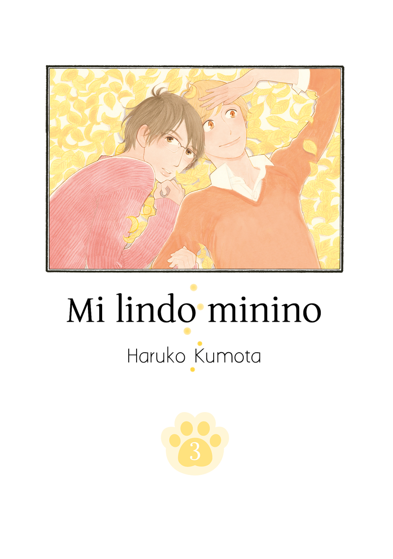 Mi lindo minino, vol. 3: portada