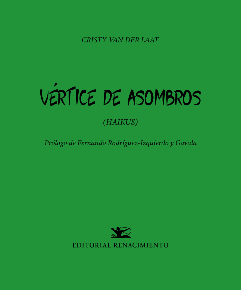 Vértice de asombros: portada