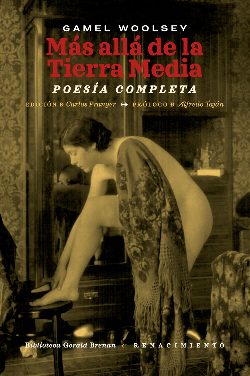 Más allá de la Tierra Media: portada