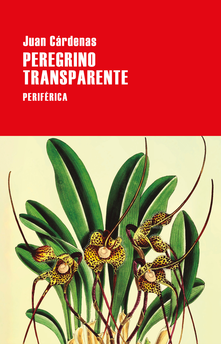 Peregrino transparente: portada