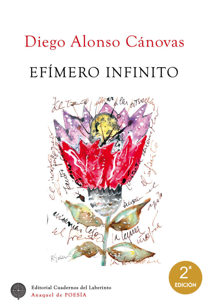 Efmero infinito: portada