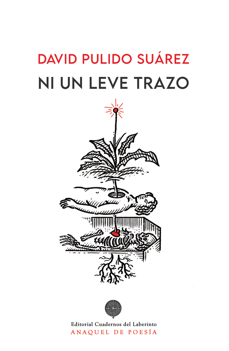 Ni un leve trazo: portada