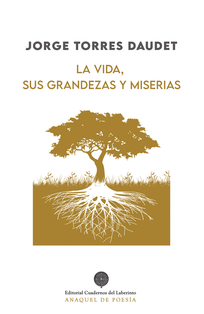 La vida, sus grandezas y miserias: portada