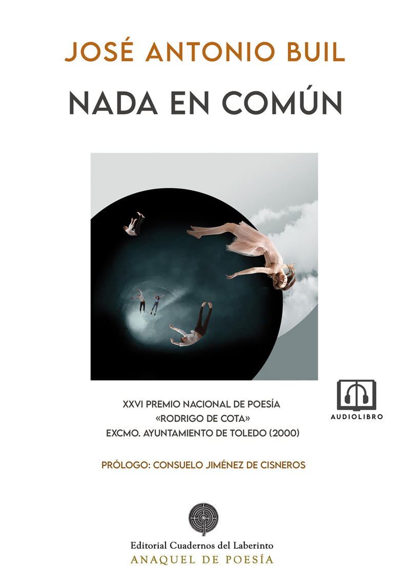 Nada en común: portada