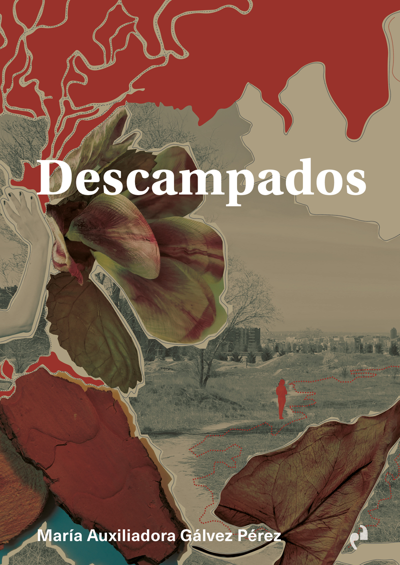 DESCAMPADOS: portada