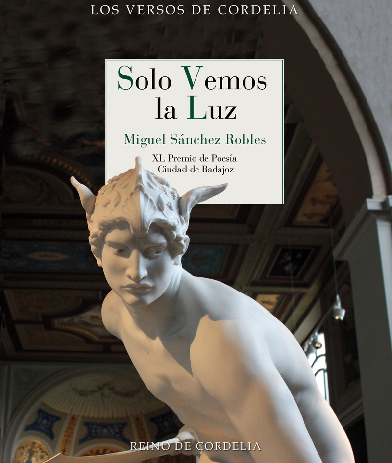 SOLO VEMOS LA LUZ: portada