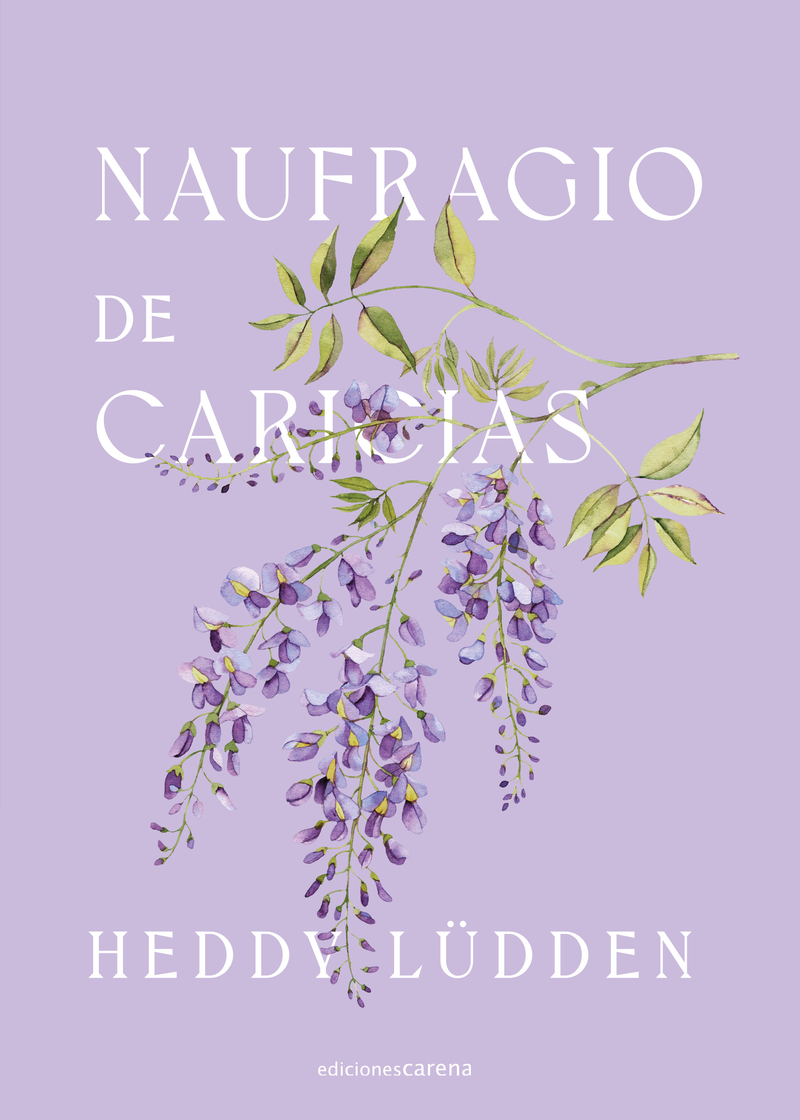 Naufragio de caricias: portada