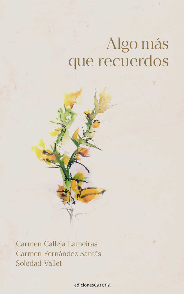 Algo más que recuerdos: portada