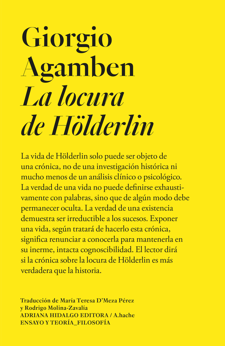 La locura de Hlderlin: portada