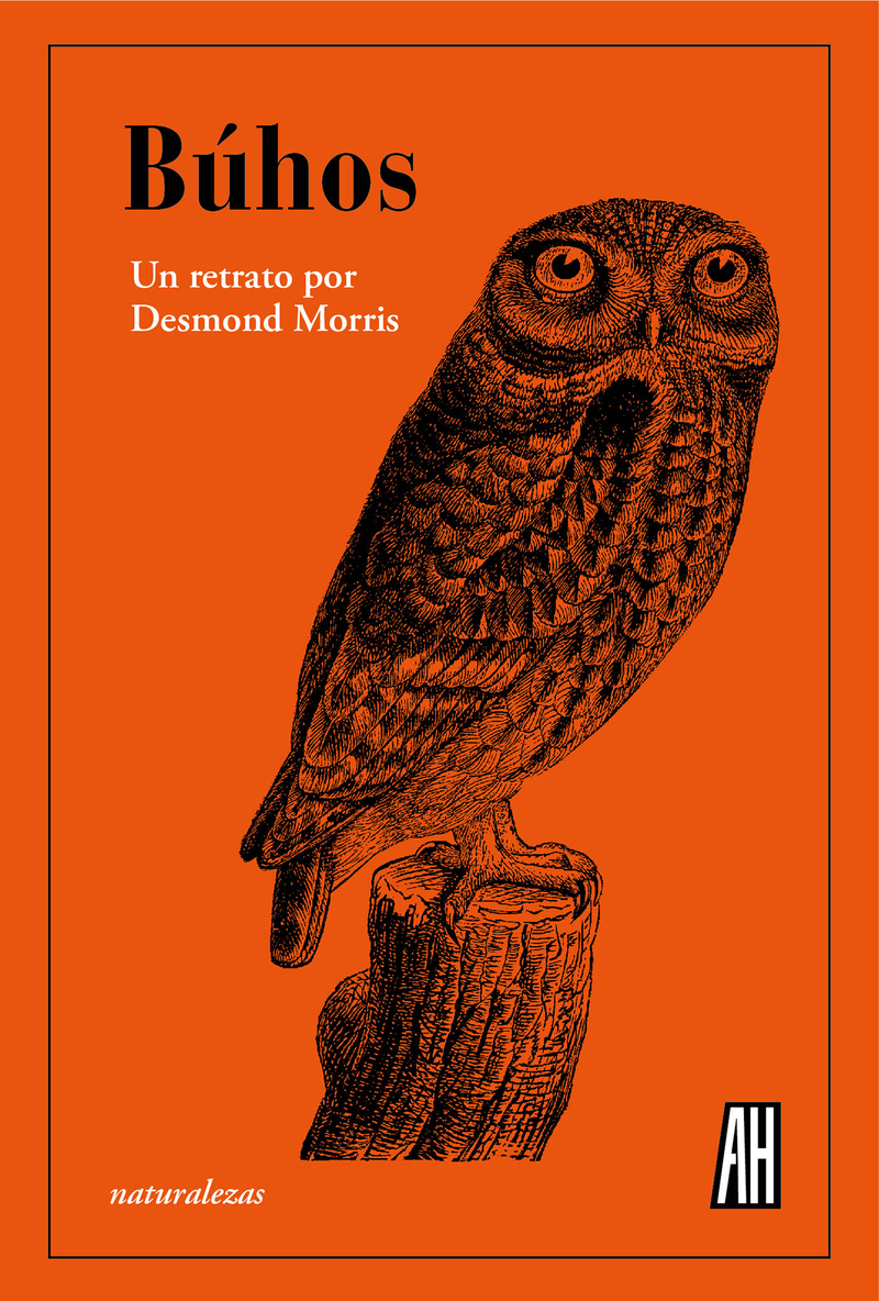 Búhos (NE): portada