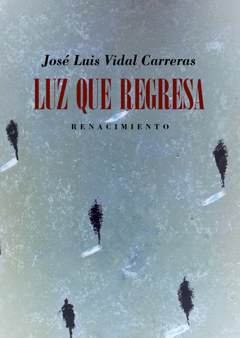 Luz que regresa: portada